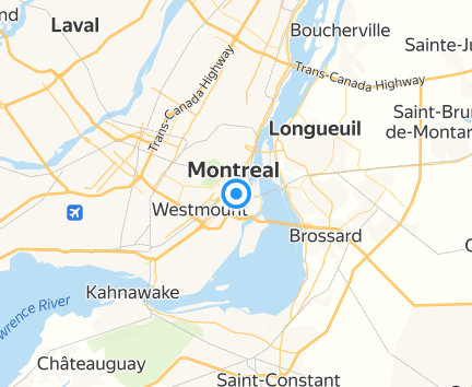 Caméléon Vert Montréal