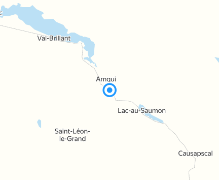 Napa Auto Amqui