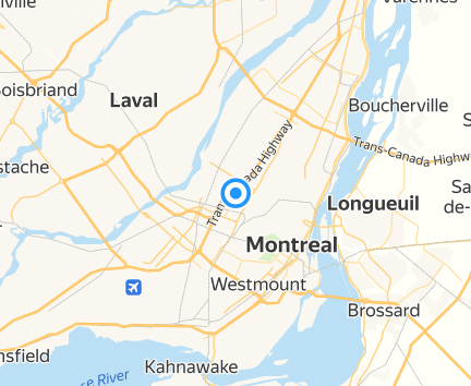 Pattes Et Griffes Montréal
