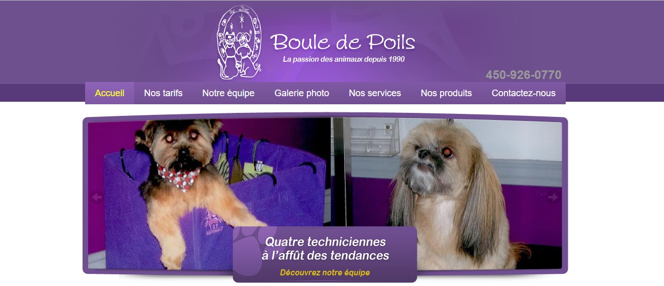 Boule De Poils • Circulaire En Ligne & Rabais