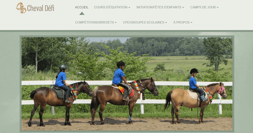 Cheval Défi En Ligne 