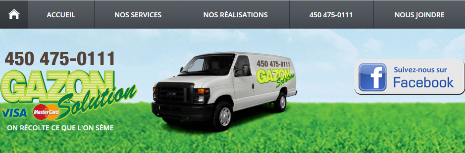 Gazon Solution En Ligne
