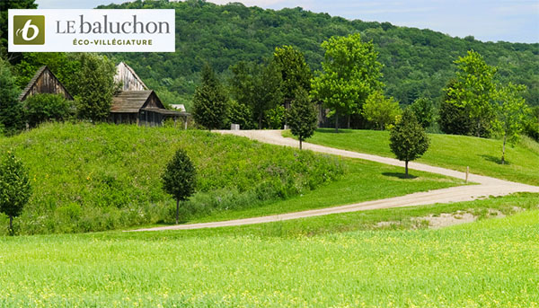 Le Baluchon