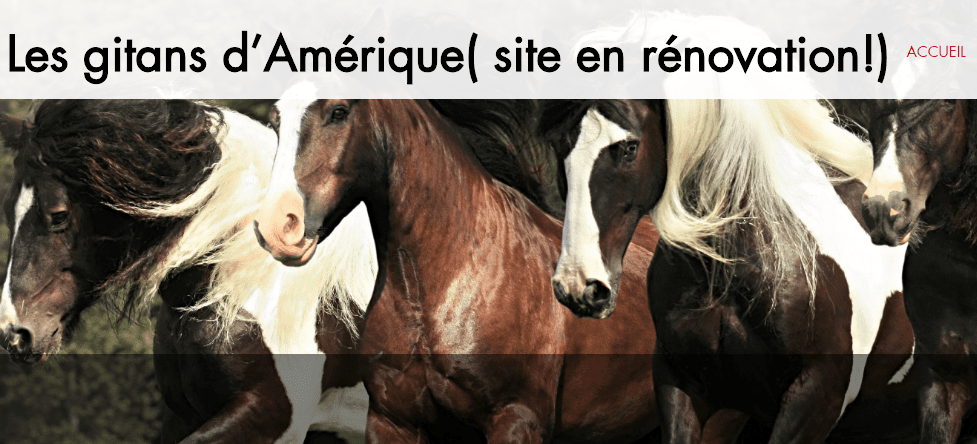 Les Gitans D