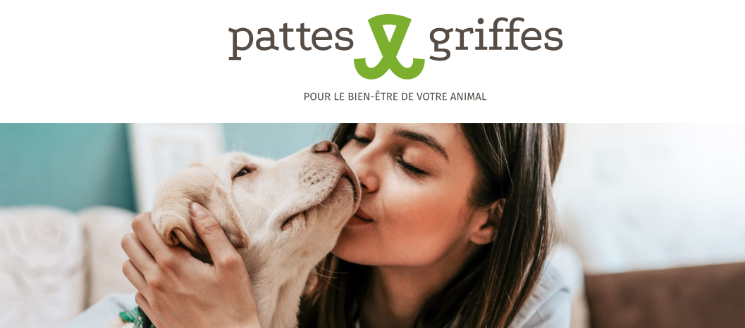 Pattes Et Griffes