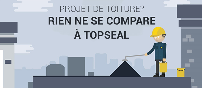 Topseal   Toitures